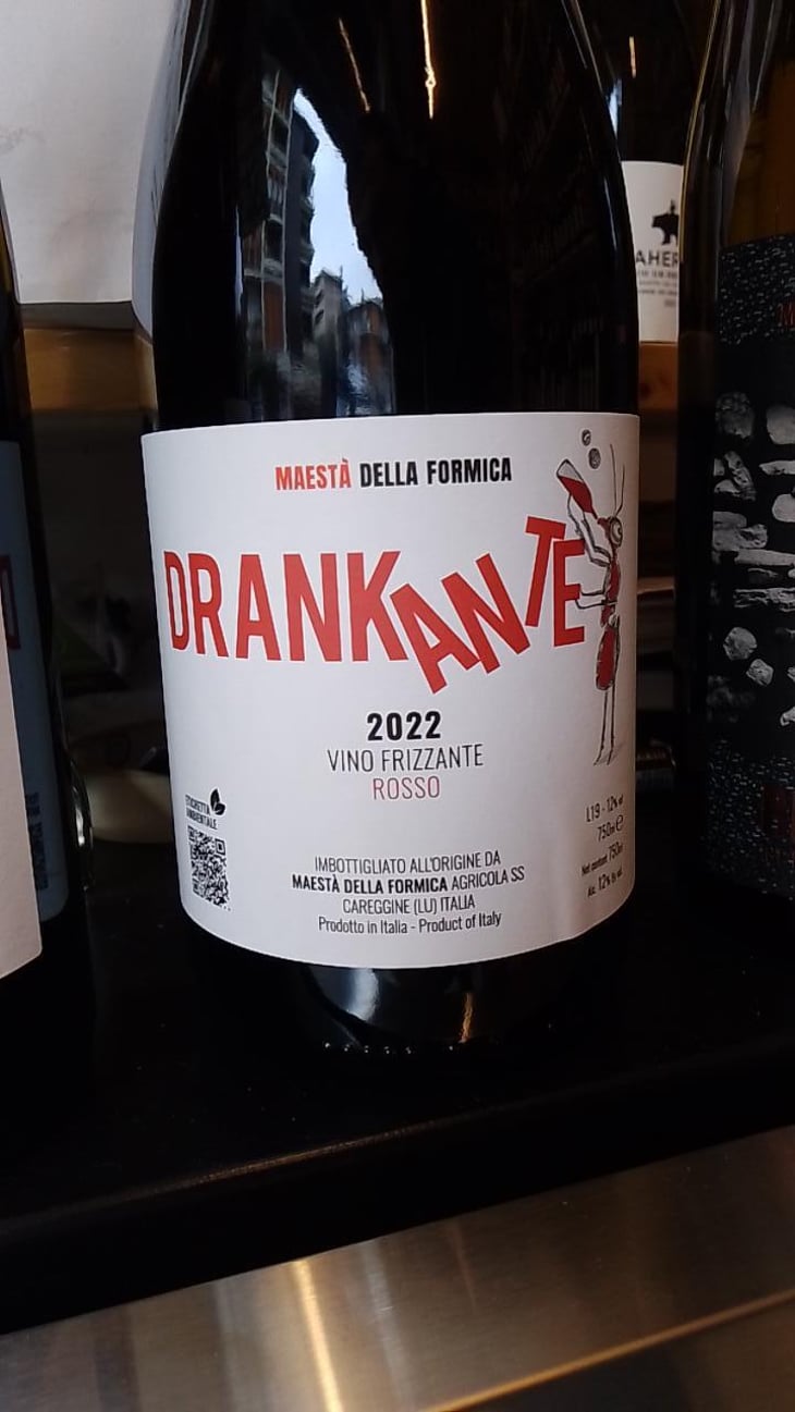 Drankante - Maestà Della Formica - Andrea Elmi, Gian Luca Guidi & Marco Raffaelli 