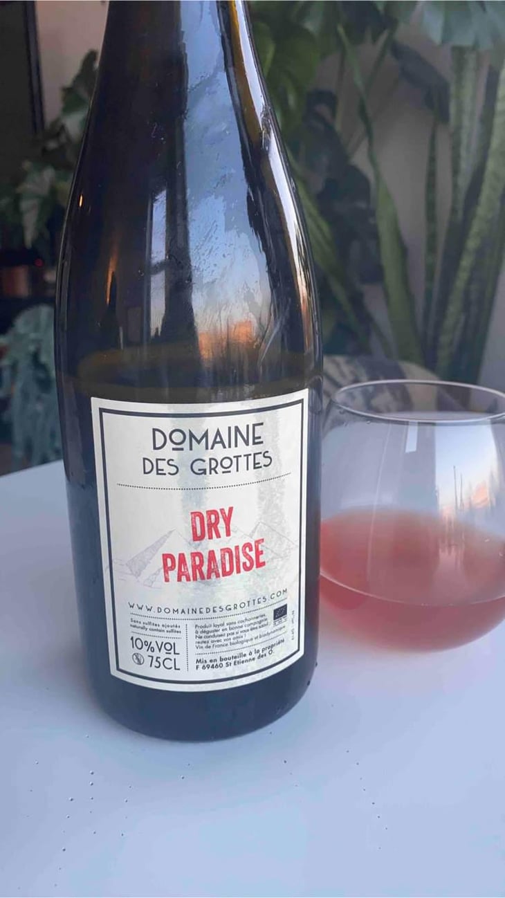 Dry Paradise - Domaine des Grottes - Romain des Grottes 