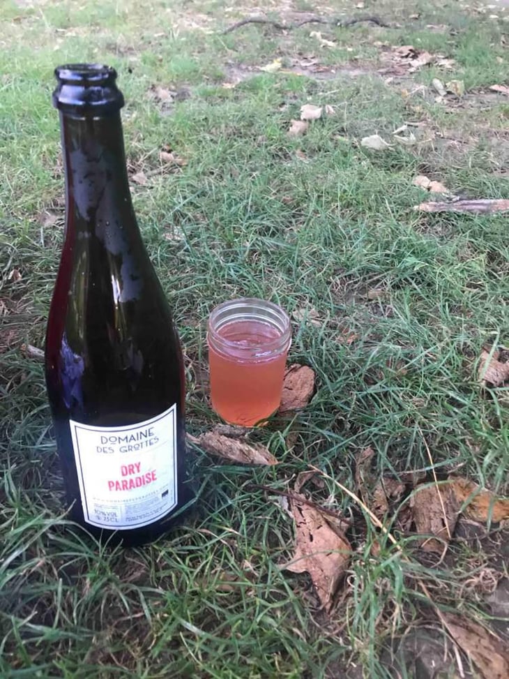 Dry Paradise - Domaine des Grottes - Romain des Grottes 