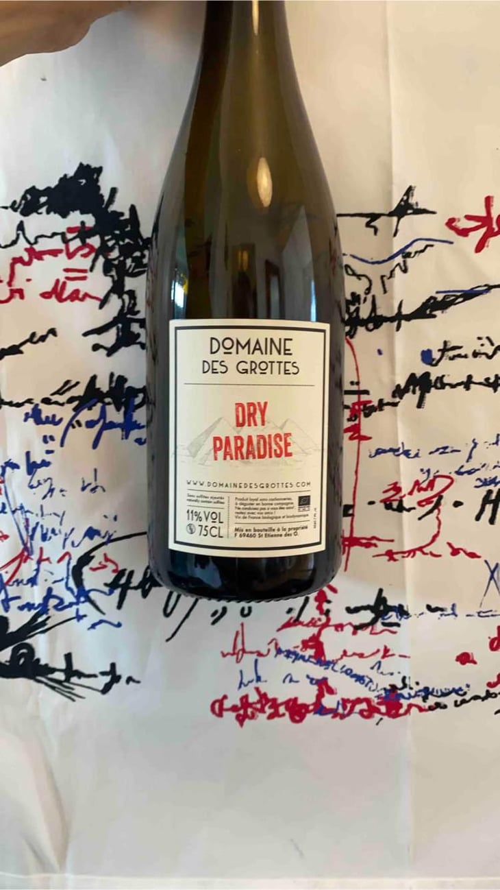 Dry Paradise - Domaine des Grottes - Romain des Grottes 