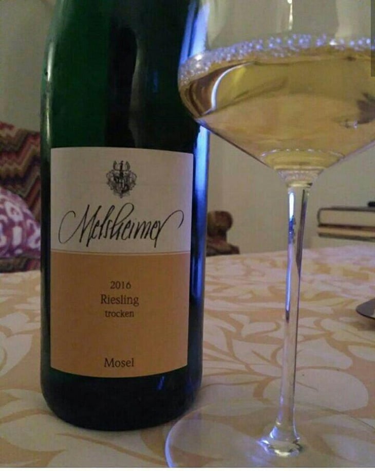 Riesling Trocken - Weingut Thorsten Melsheimer - Thorsten Melsheimer 