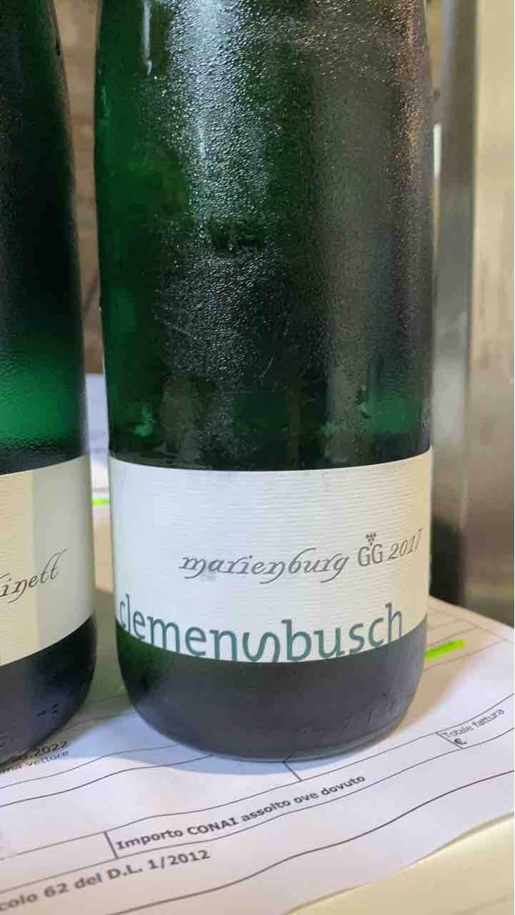 Riesling Trocken - Weingut Clemens Busch - Clemens & Rita Busch 