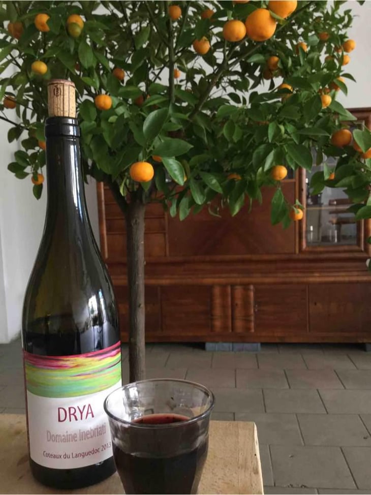 Drya - Domaine Inebriati - Victor Beau 