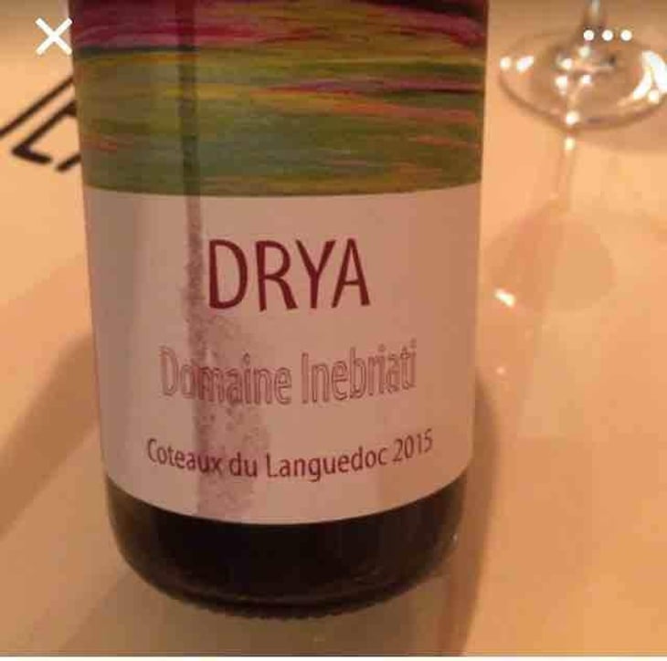 Drya - Domaine Inebriati - Victor Beau 