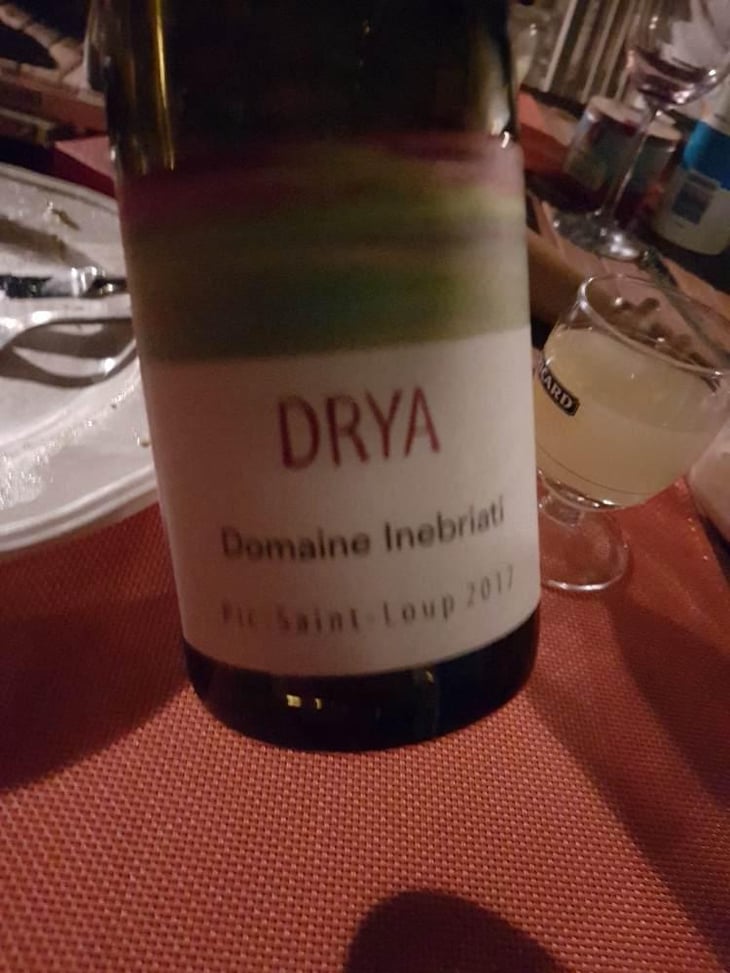 Drya - Domaine Inebriati - Victor Beau 