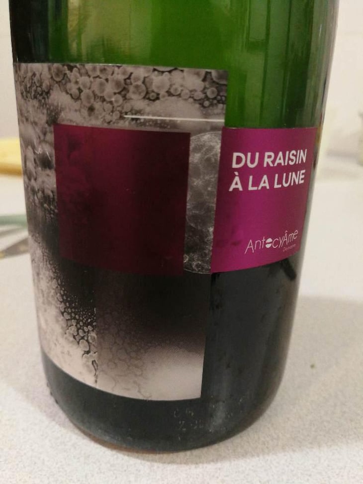 Du raisin à la lune - AntocyÂme - Muriel Zoldan -2018