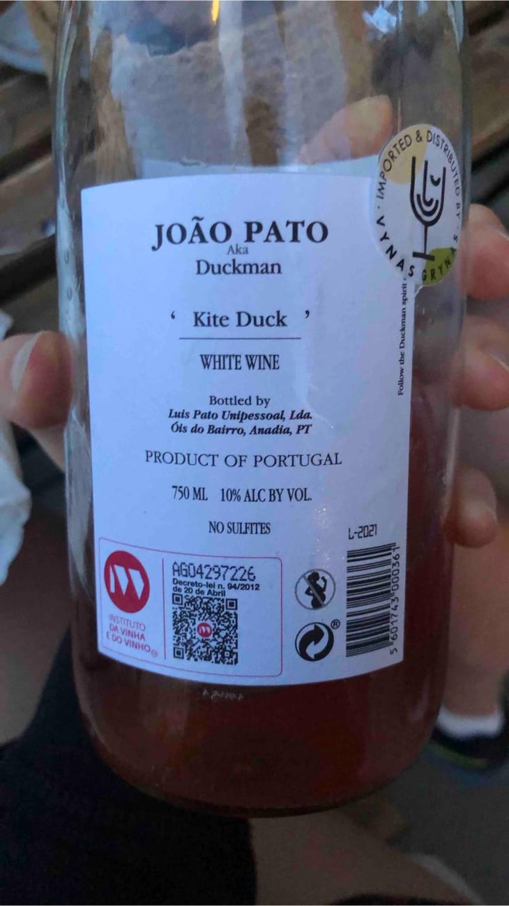 Duckman Kite Duck - João Pato (a.k.a. Duckman) - Maria and Luis Pato -2020