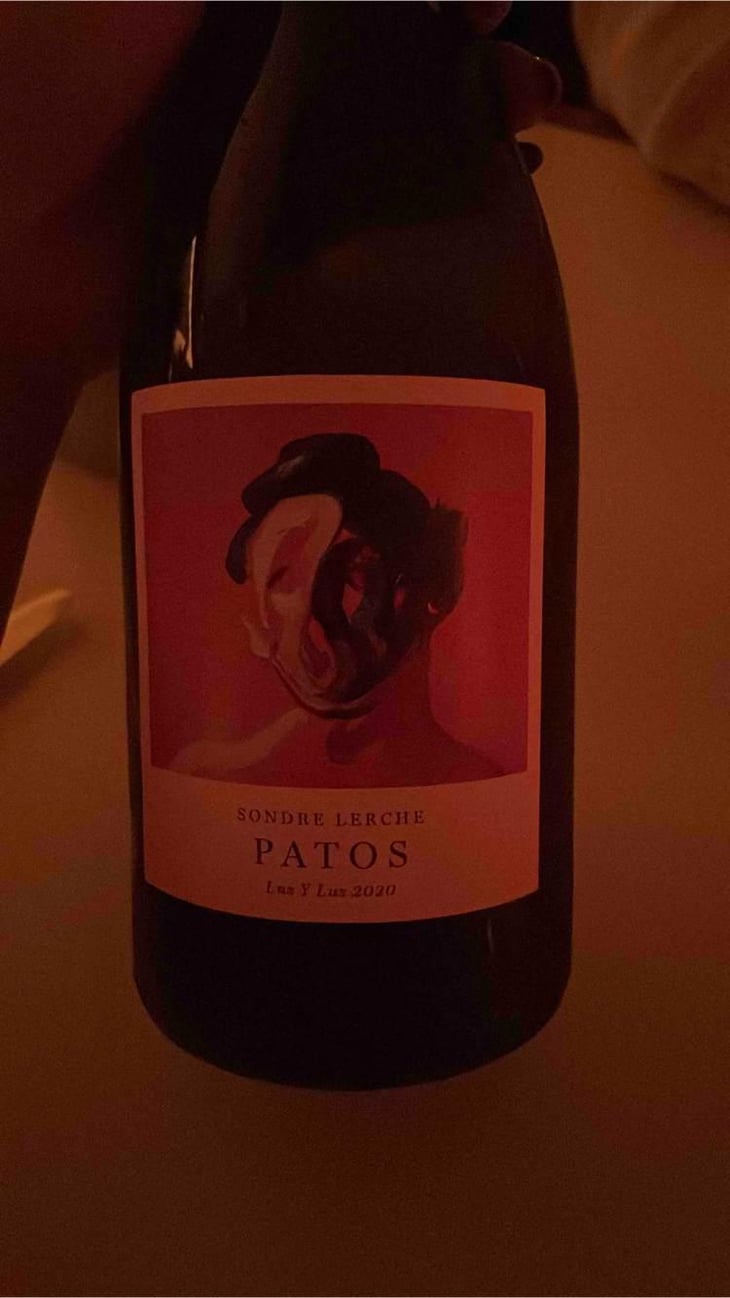 Patos - Patos – Luz y Luz - Sondre Lerche and Olivia Junyent 