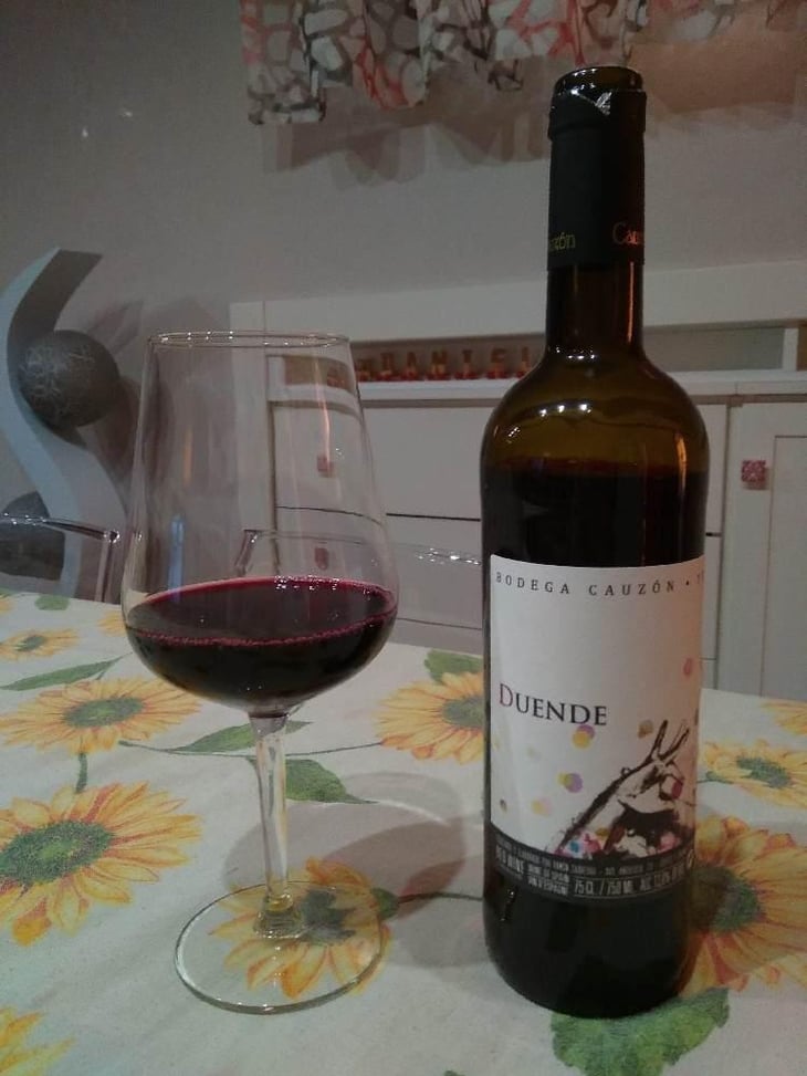 Duende - Bodega Cauzon - Ramón Saavedra 