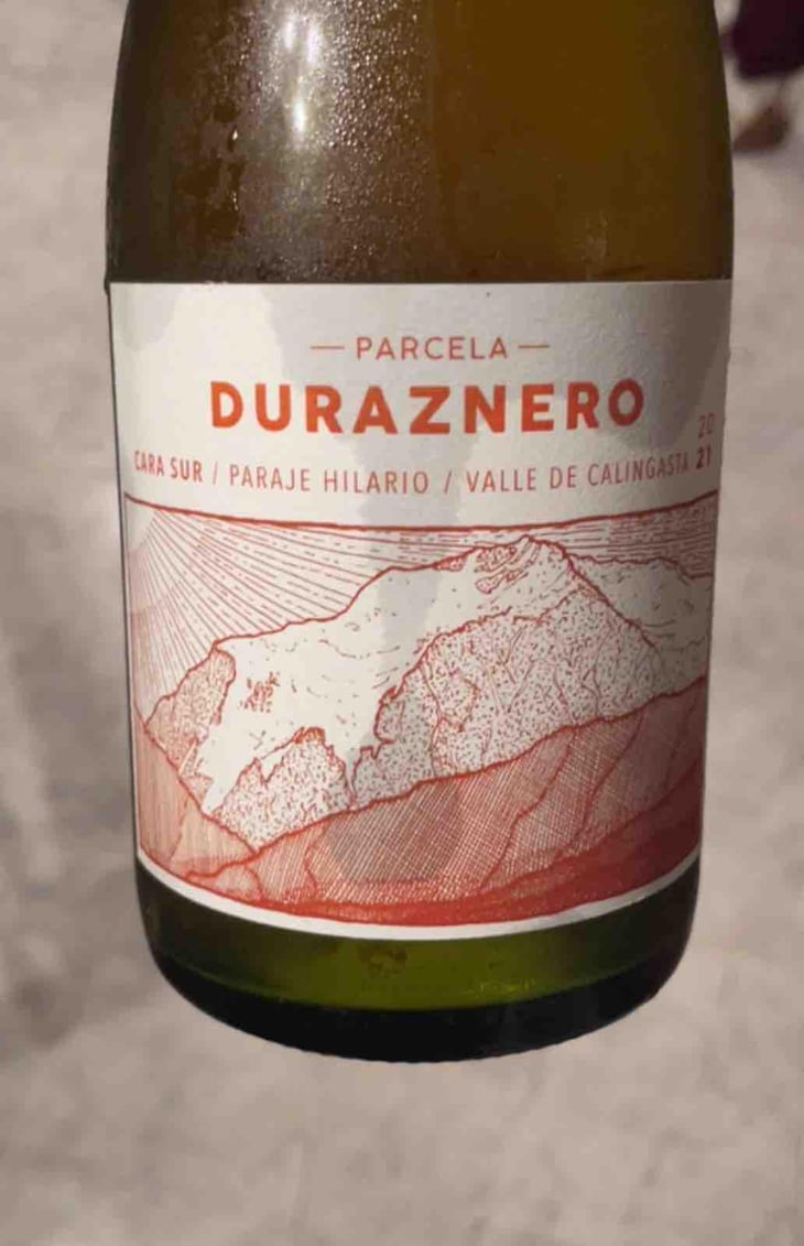 Duraznero - Argentina, San Juan - Cara Sur -2024