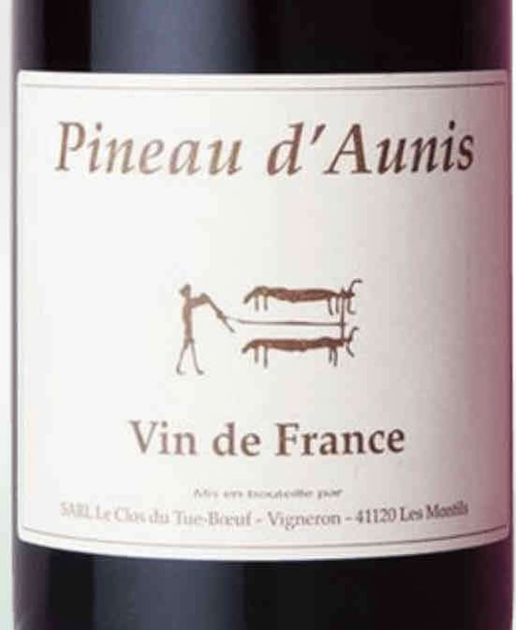Pineau d'Aunis - Clos du Tue-Bœuf - Zoé, Louise & Thierry Puzelat 