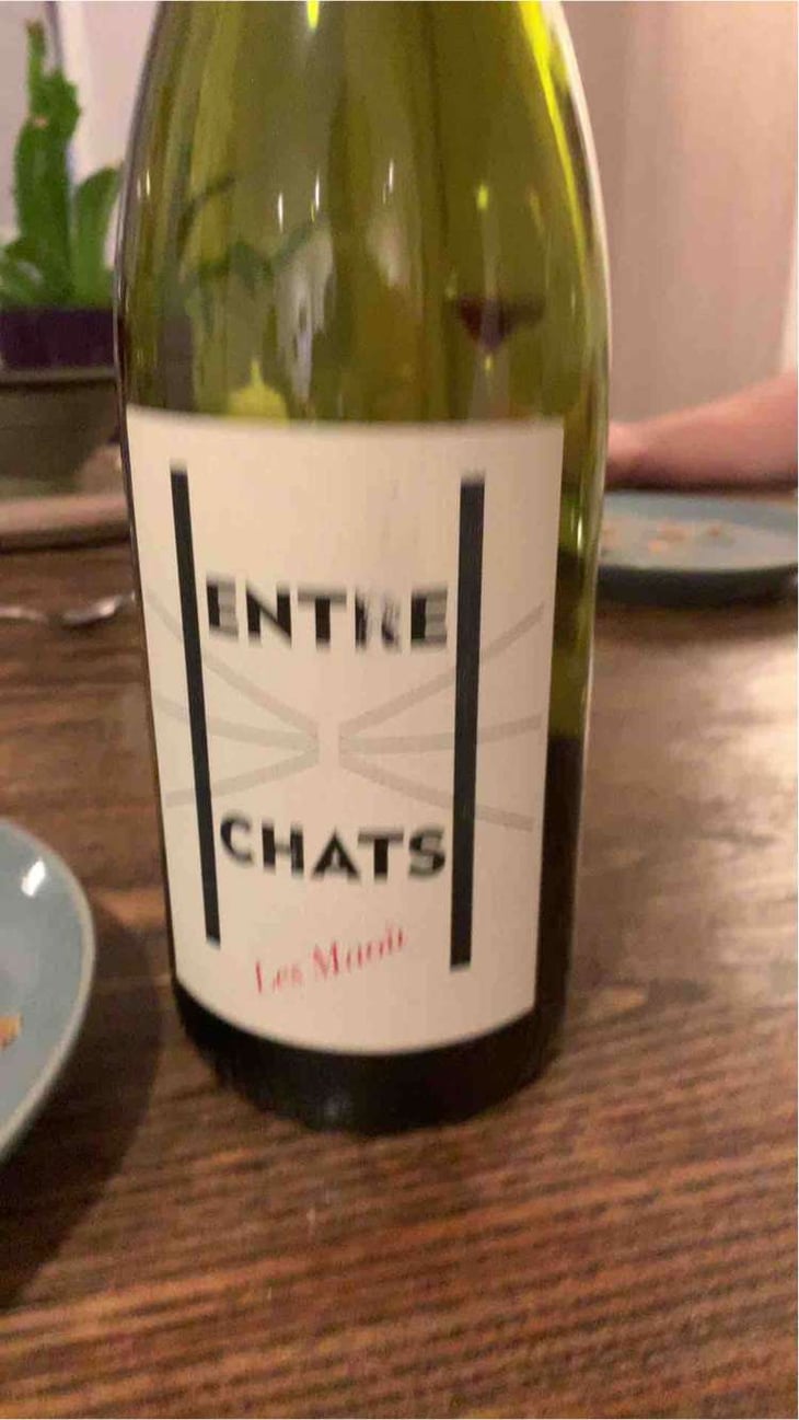 Entre Chats - Les Maoù - Aurélie & Vincent Garreta 