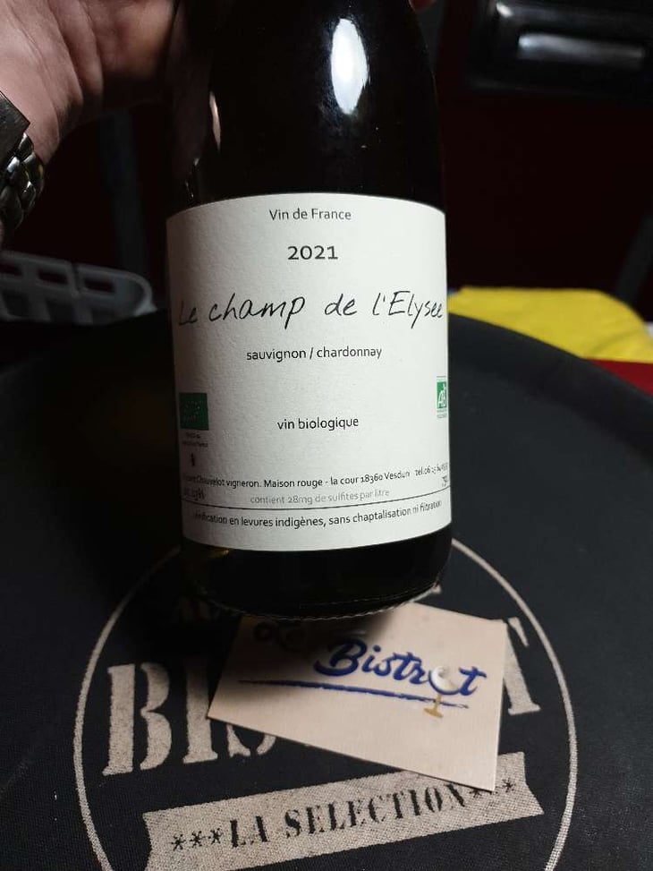 Le Champ De L’Elysee - Vincent Chauvelot - Vincent Chauvelot 