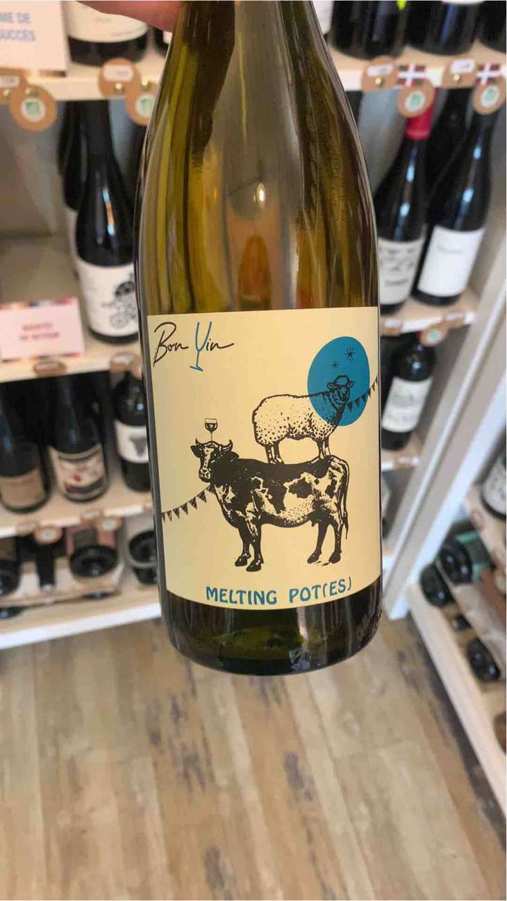 Melting Pot(es) Blanc - Domaine De Bonvin - Manu & Jean-Baptiste Roux -2019