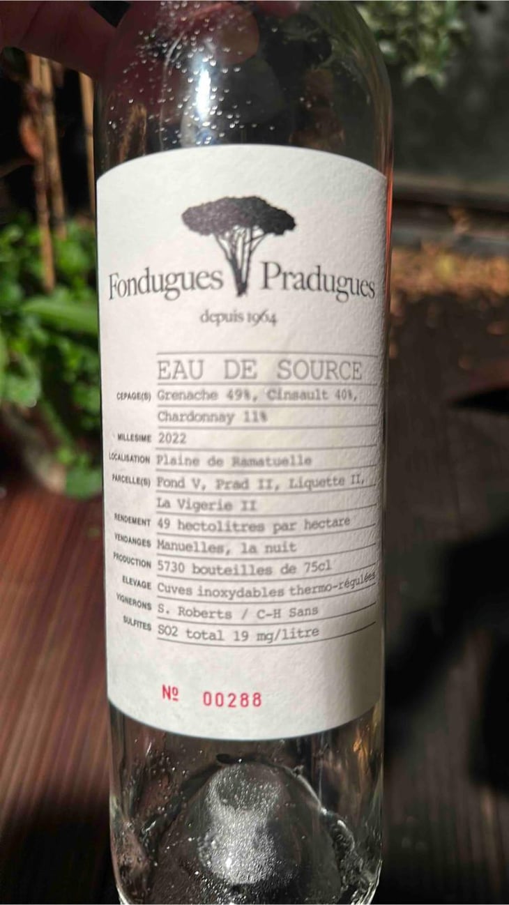 Eau De Source - Fondugues-Pradugues - Stephen Roberts 