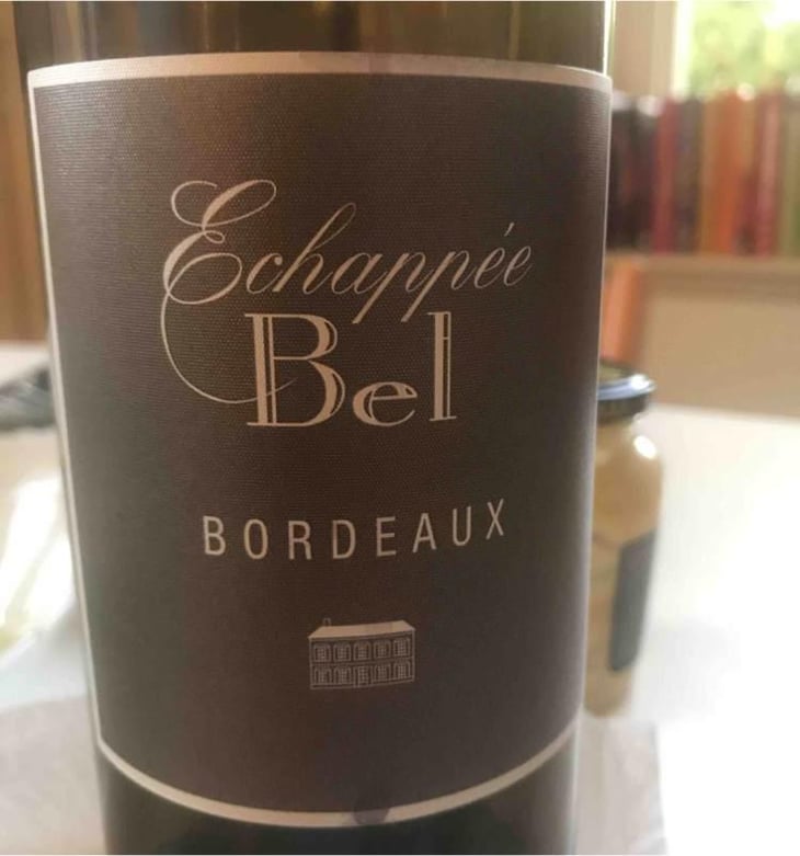 Echappée Bel Blanc - Château de Bel - Vins Olivier Cazenave - Olivier Cazenave -2019