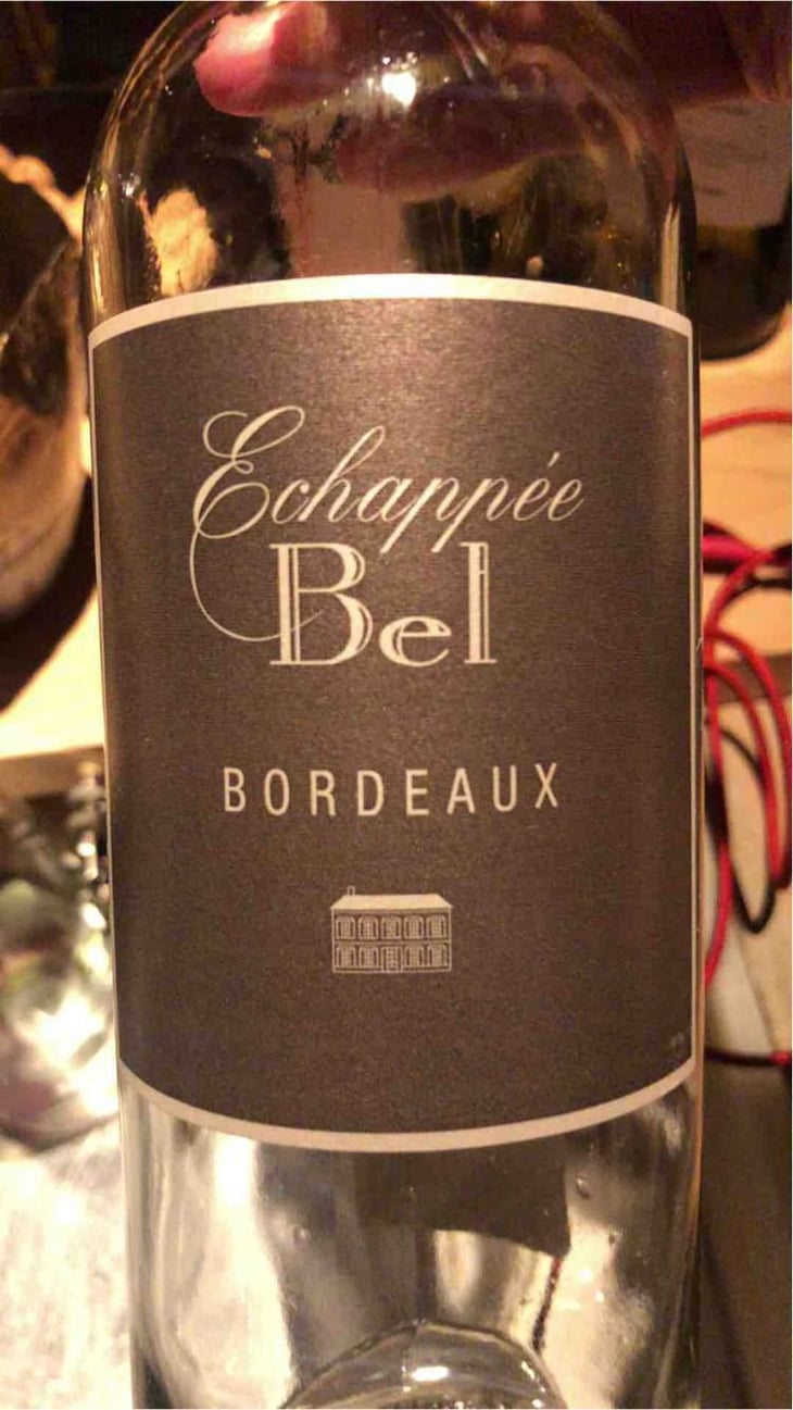 Echappée Bel Blanc - Château de Bel - Vins Olivier Cazenave - Olivier Cazenave -2019