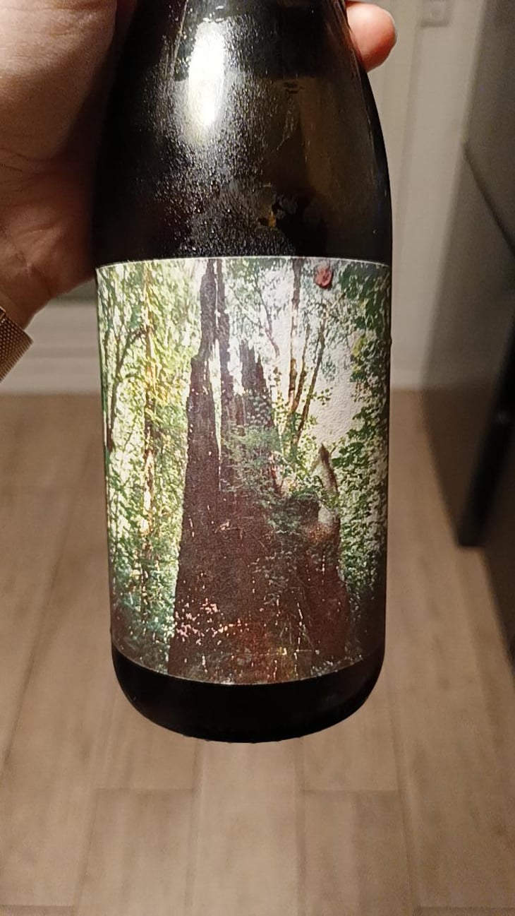 Echolocation - Dorsal Wines / Devin's Wine - Devin Alexander 