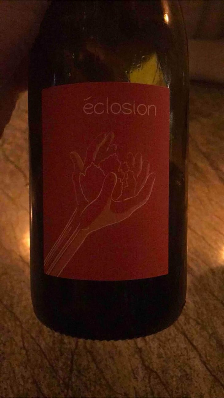 Éclosion - Laurent Herlin Vigneron - Laurent Herlin 