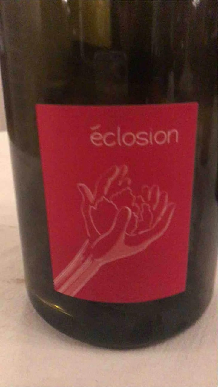 Éclosion - Laurent Herlin Vigneron - Laurent Herlin 