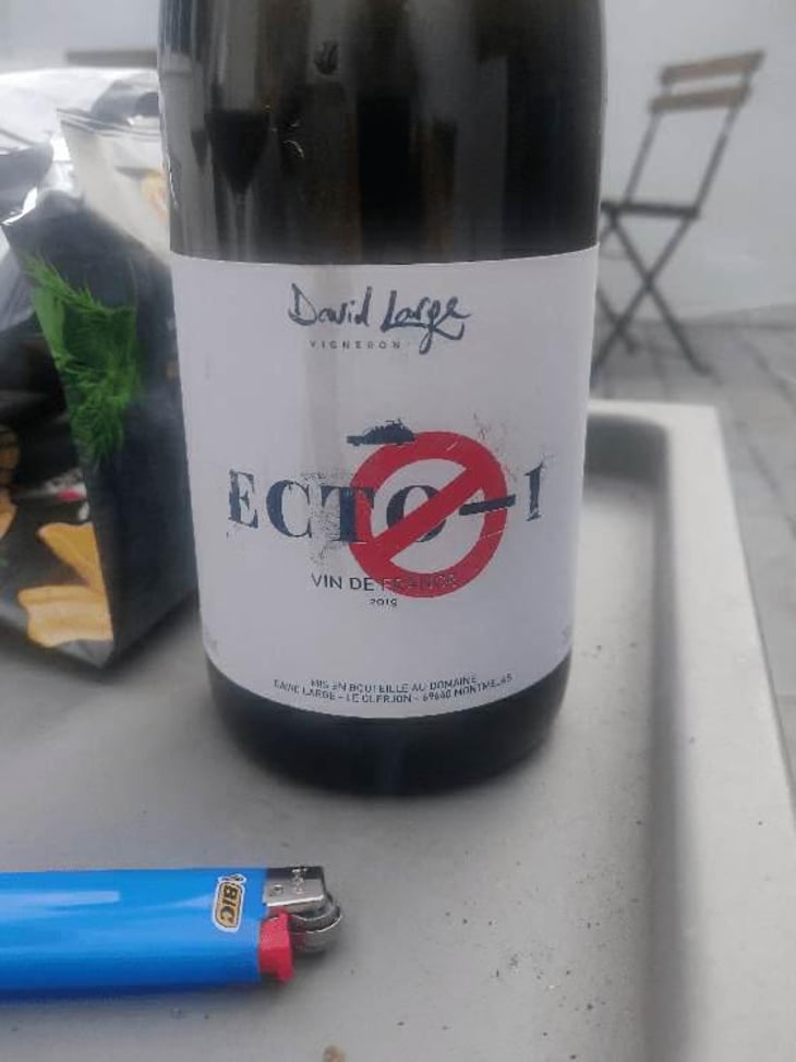 Ecto-1 - David Large - Célia Rostand et David Large 