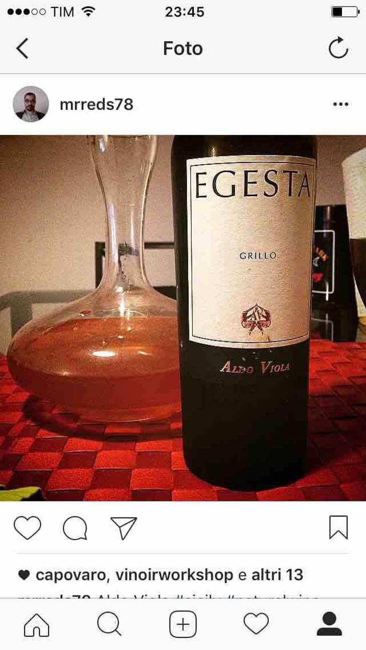 Egesta - Azienda Agricola Aldo Viola - Aldo Viola 