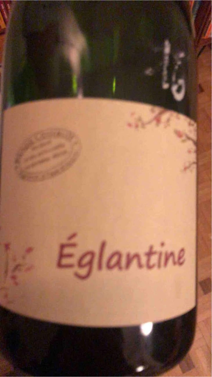 Églantine - Benoît Courault - Benoît Courault 