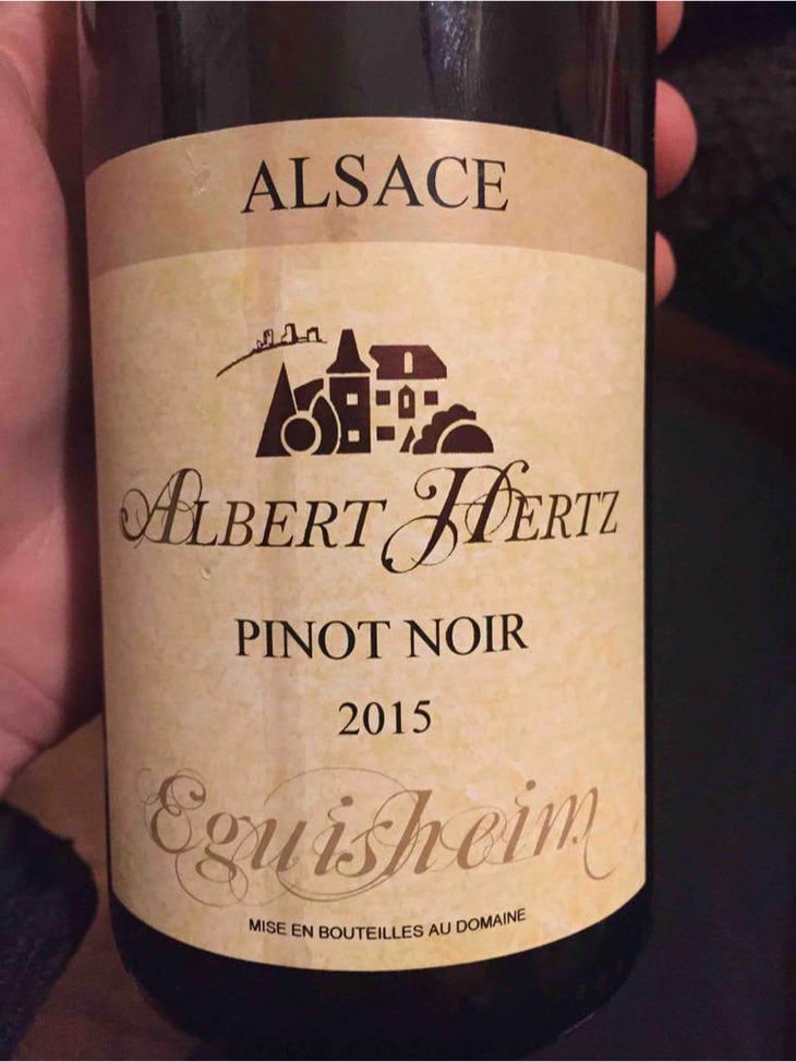 Eguisheim - Domaine Albert Hertz - Albert Hertz 