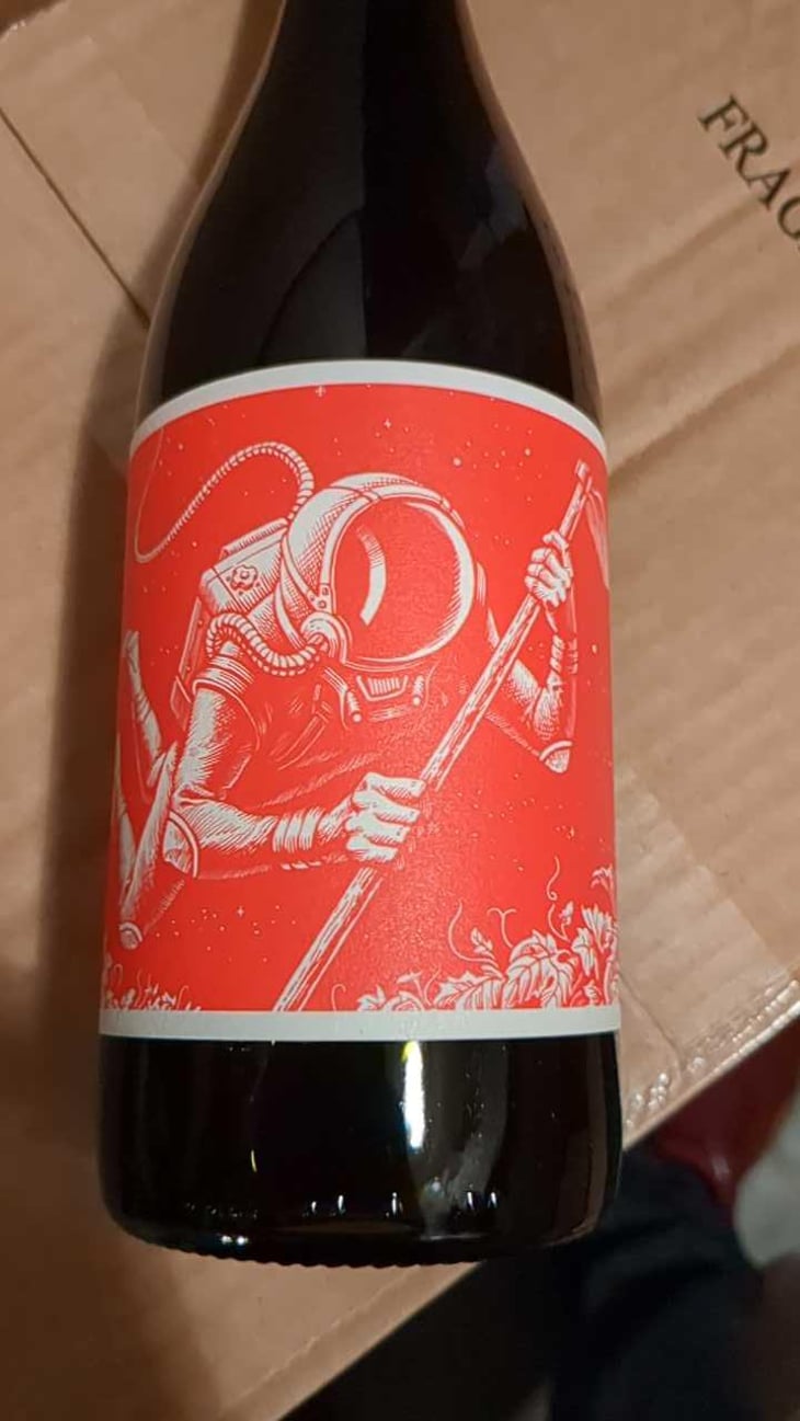 EL Cosmonauta Y El Viaje En El Tiempo - El Mozo Wines - Bodegas Compañon Arrieta - El Mozo 