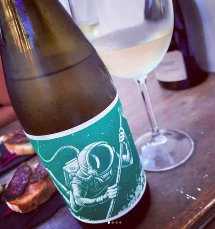 El Cosmonauta en el barranco de agua - El Mozo Wines - Bodegas Compañon Arrieta - El Mozo 