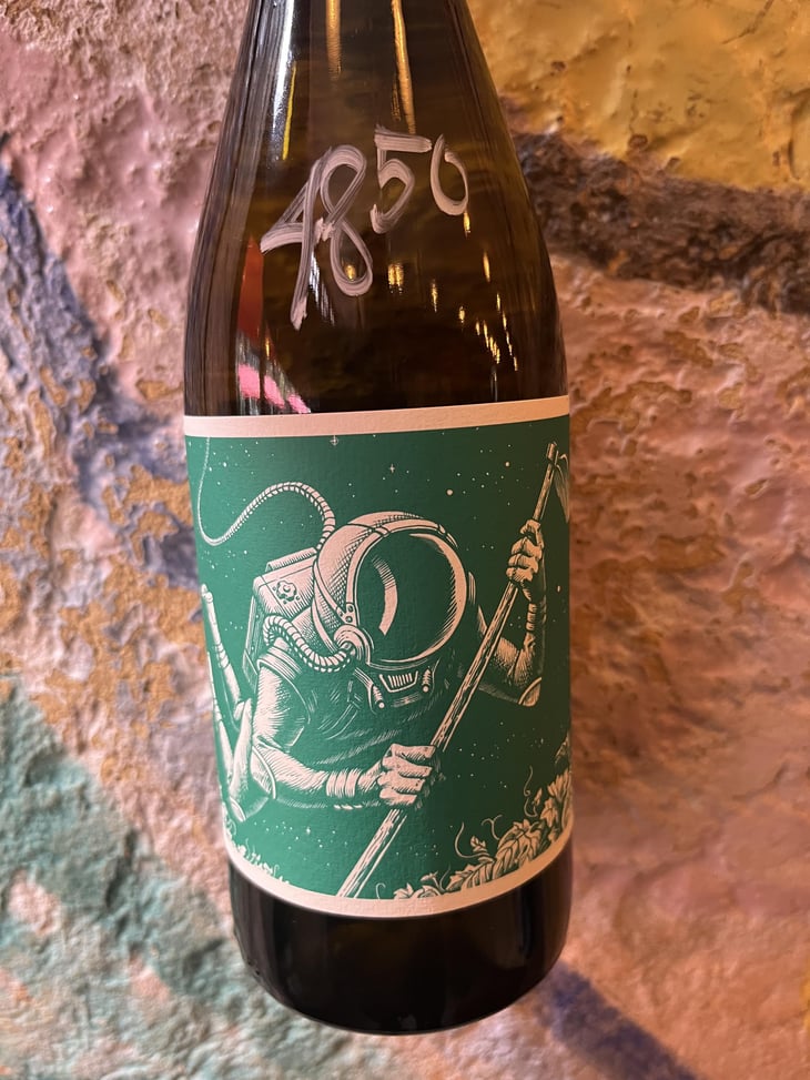 El Cosmonauta en el barranco de agua - El Mozo Wines - Bodegas Compañon Arrieta - El Mozo 