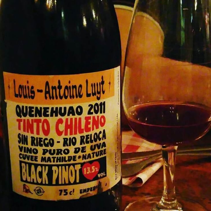 El País de Quenehuao - Louis Antoine Luyt - Louis-Antoine Luyt 