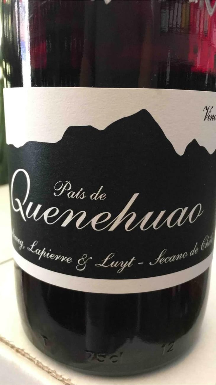 El País de Quenehuao - Louis Antoine Luyt - Louis-Antoine Luyt 
