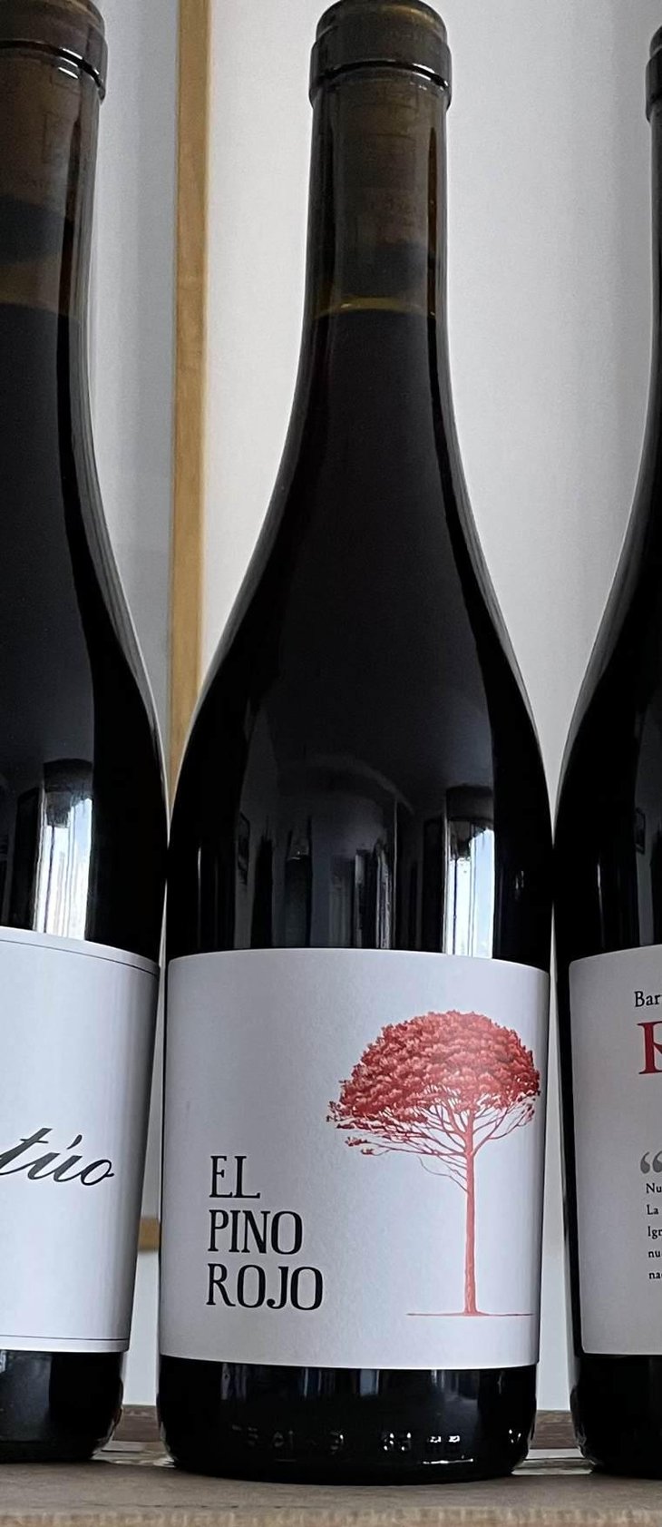 El Pino Rojo - Barranco Oscuro - Manuel & Lorenzo Valenzuela 