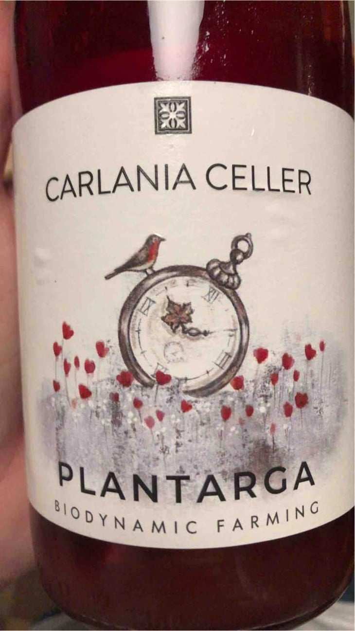 El Plantarga - Carlania Celler - Jordi Miró and Sònia Gomà-Camps 