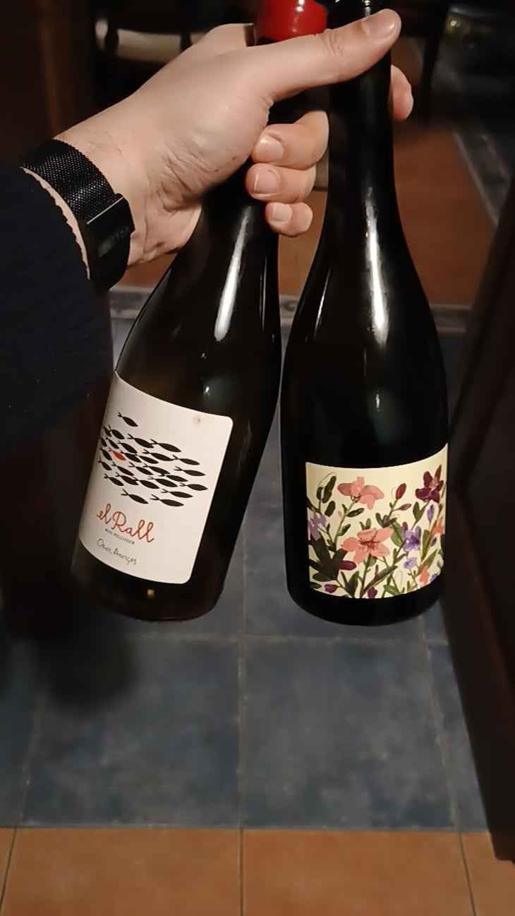 El Rall - Mas Pellisser - Oriol Artigas -2019