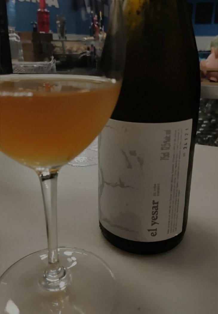 El Yesar - Viña Enebro - Juan Pascual López Cespedes -2019