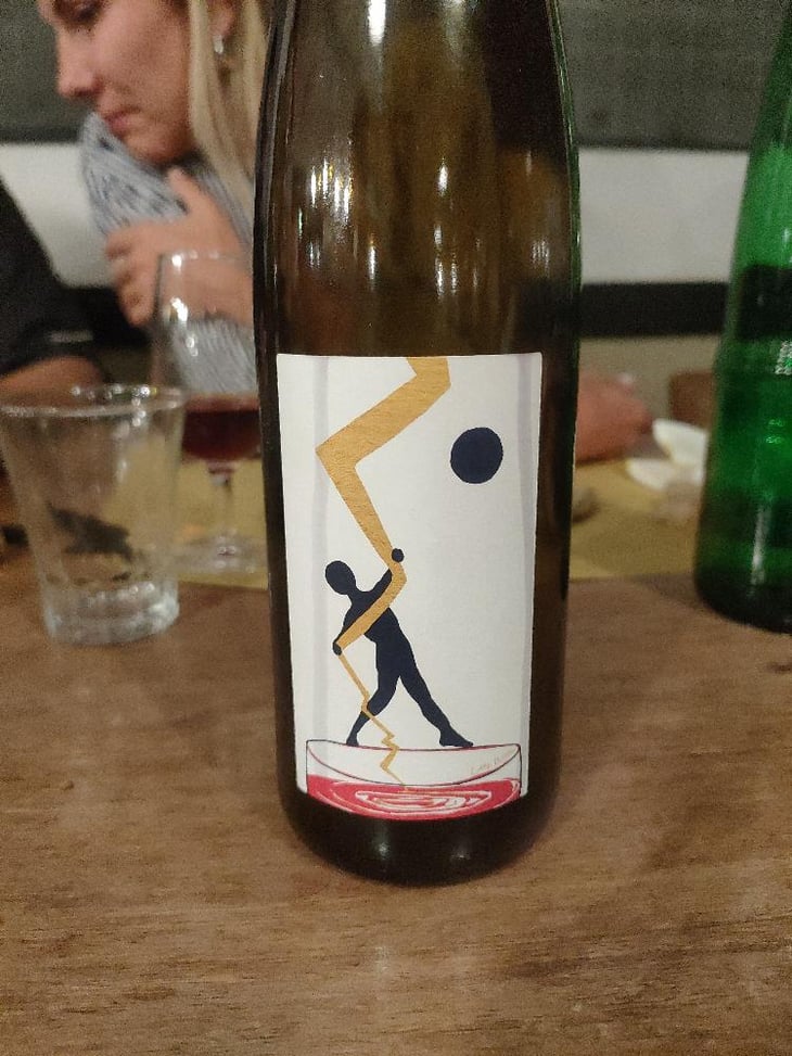 Electric Pulp - Soma Vines - Daisy Merrick & Antoine Lucchesi. 