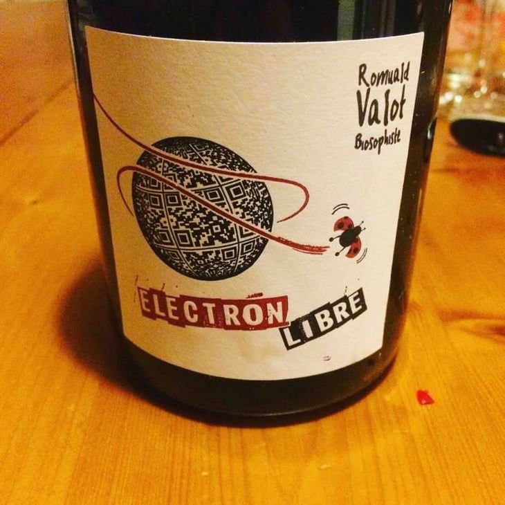 Electron Libre - Les Sauvageons - Cosima and Romuald Valot 