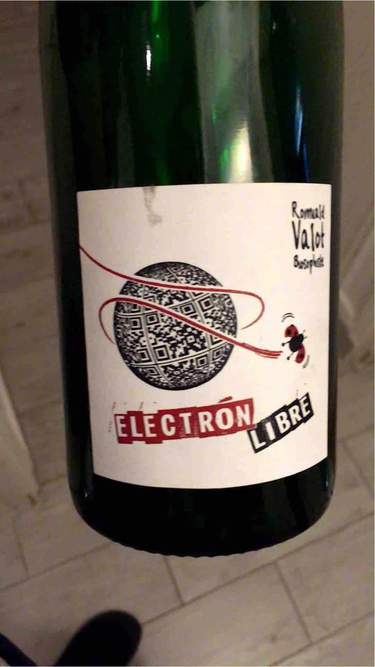 Electron Libre - Les Sauvageons - Cosima and Romuald Valot 