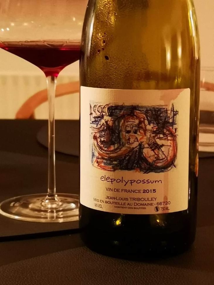 Elepolypossum - Tribouley - Jean-Louis Tribouley 