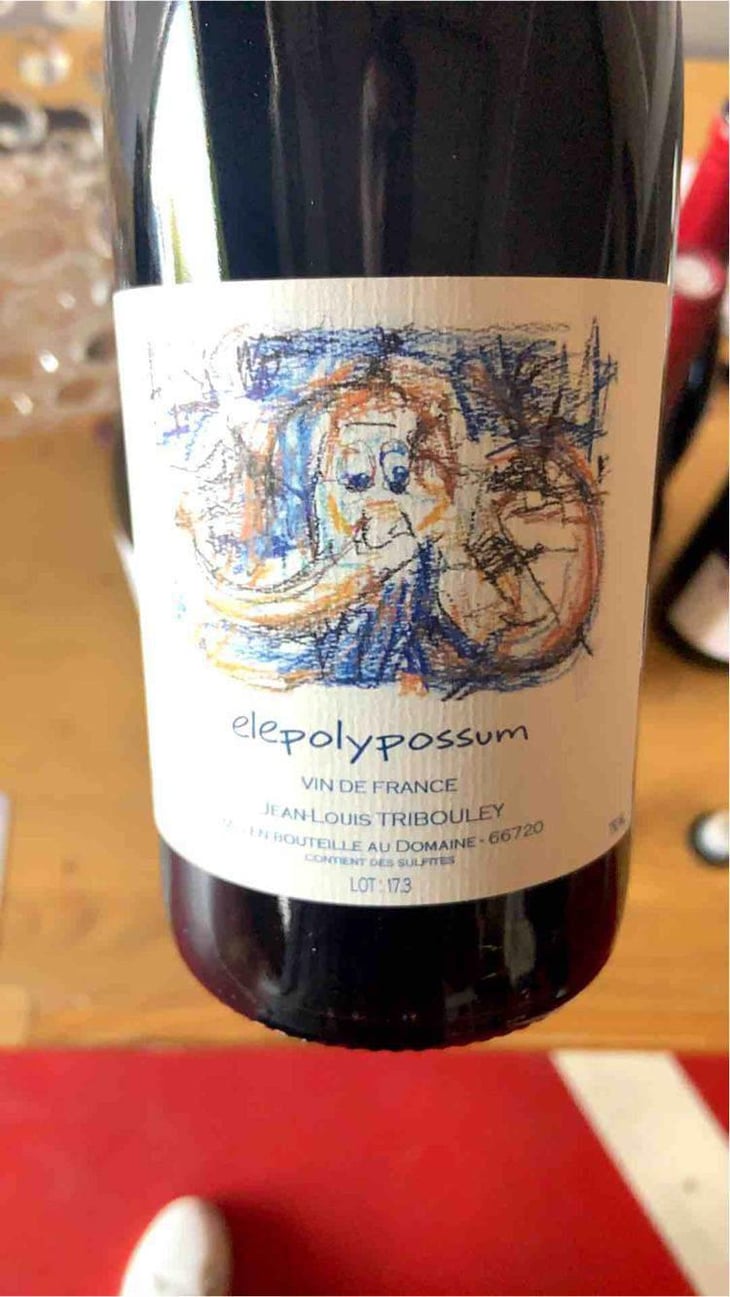 Elepolypossum - Tribouley - Jean-Louis Tribouley 
