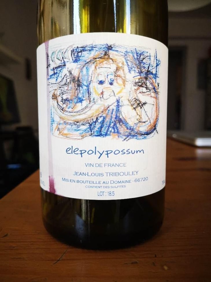 Elepolypossum - Tribouley - Jean-Louis Tribouley 