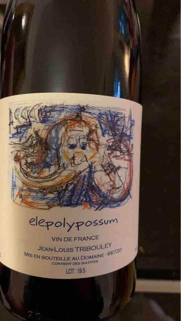 Elepolypossum - Tribouley - Jean-Louis Tribouley 