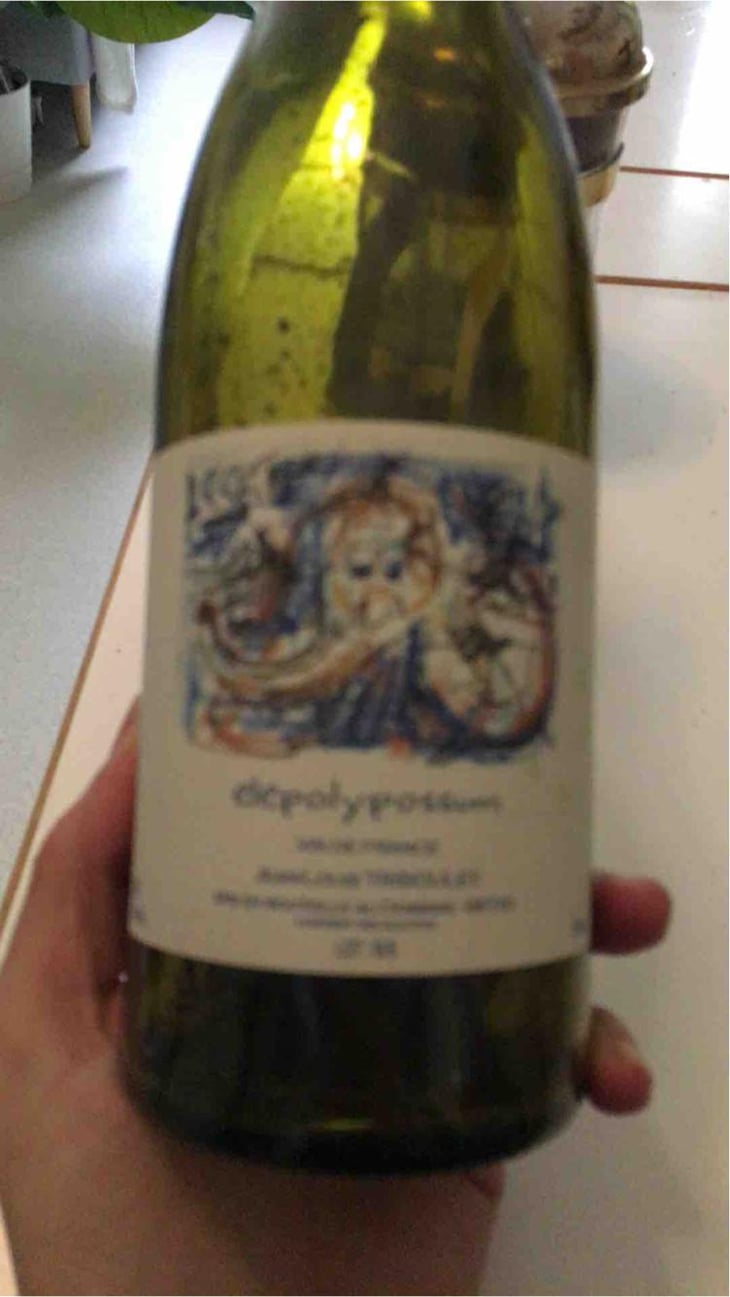 Elepolypossum - Tribouley - Jean-Louis Tribouley 