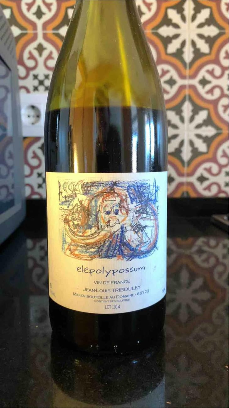 Elepolypossum - Tribouley - Jean-Louis Tribouley 