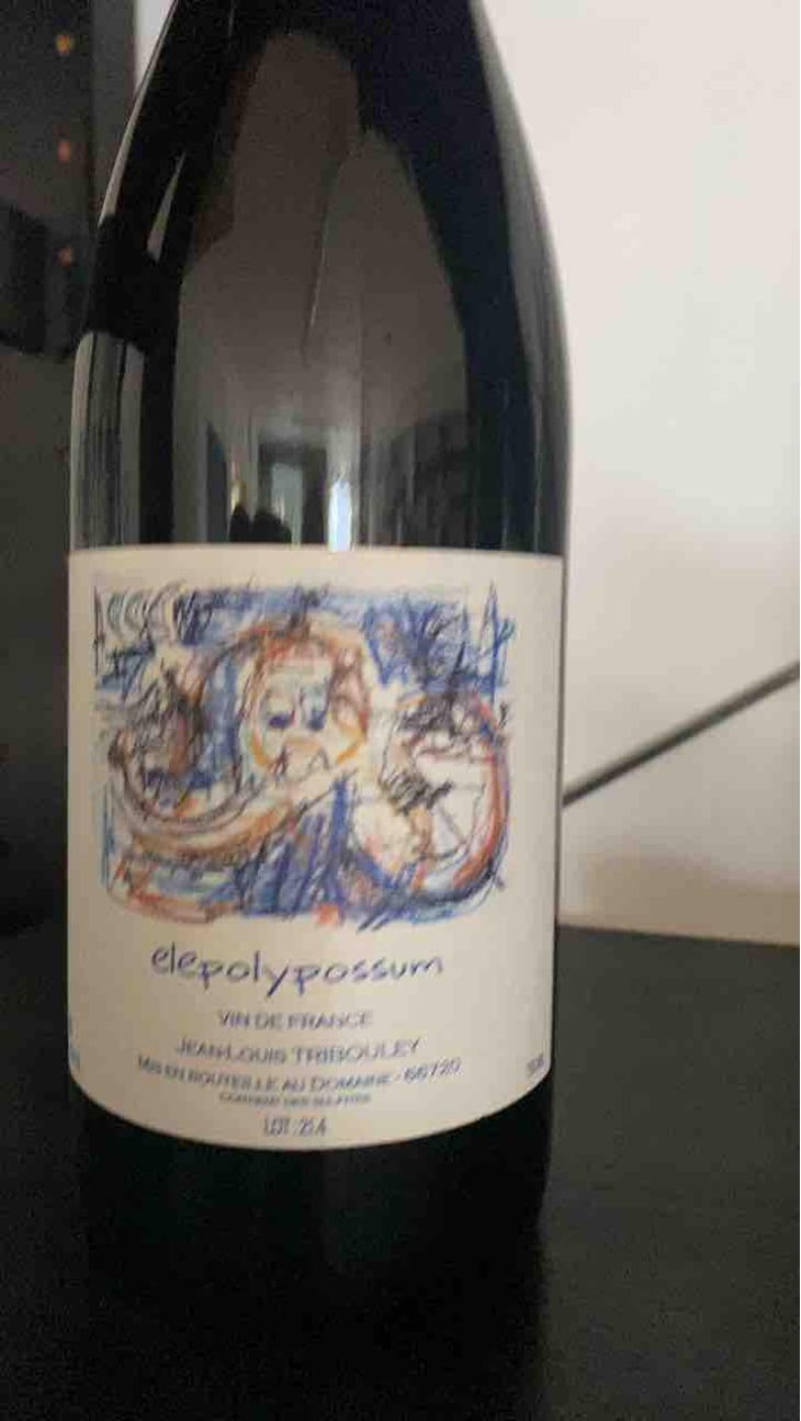 Elepolypossum - Tribouley - Jean-Louis Tribouley 