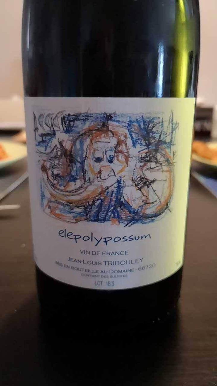 Elepolypossum - Tribouley - Jean-Louis Tribouley 