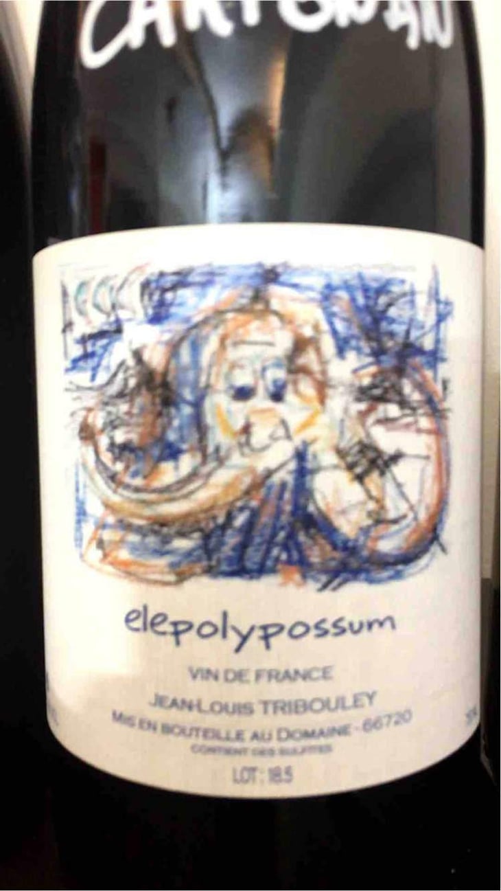 Elepolypossum - Tribouley - Jean-Louis Tribouley 