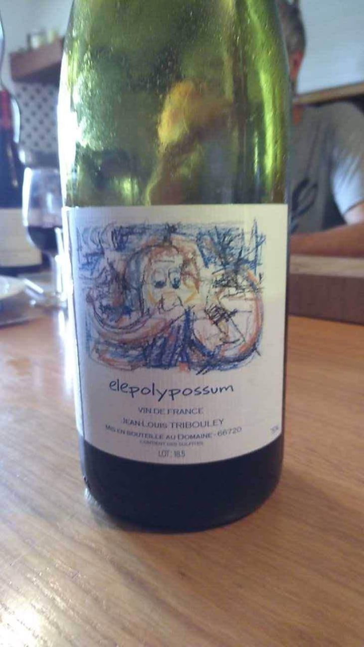 Elepolypossum - Tribouley - Jean-Louis Tribouley 